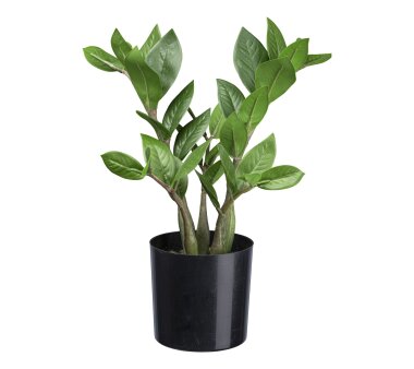 grün, sortiert, cm Höhe Grünpflanzen-Mix, kaufen Kunstpflanze Kunststofftopf, ca. online inkl. 21 ✔ 2-fach Farbe