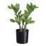 Kunstpflanze Zamifolia, Farbe grün, inkl. Kunststofftopf, Höhe ca. 30 cm