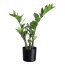 Kunstpflanze Zamifolia, Farbe grün, inkl. Kunststofftopf, Höhe ca. 50 cm