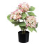 Kunstpflanze Hortensienbusch, Farbe rosa-creme, inkl. Kunststofftopf, Höhe ca. 53 cm