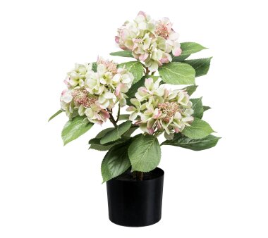 Kunstpflanze Hortensienbusch, Farbe grün-rosa, inkl....
