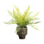 Kunstpflanze Farnbusch, Farbe grün, inkl. Buddha-Zementtopf, Höhe ca. 35 cm