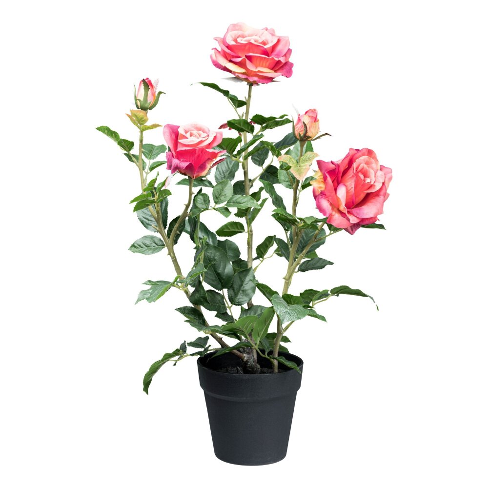 58 Kunstpflanze pink, online Kunststofftopf, ca. Rosenbusch, Höhe kaufen Farbe ✔ inkl. cm