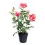 Kunstpflanze Rosenbusch, Farbe pink, inkl. Kunststofftopf, Höhe ca. 58 cm
