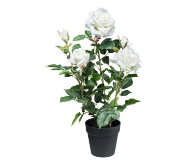 Kunstpflanze Rosenbusch, Farbe weiß, inkl....