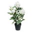 Kunstpflanze Rosenbusch, Farbe weiß, inkl. Kunststofftopf, Höhe ca. 58 cm