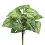 Kunstpflanze Monsterabusch Monkey Leaf, 3er Set, Farbe grün, Höhe ca. 29 cm