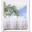 Voile-Bistro-Gardine SUSI, mit Schlaufen, Digitaldruck, transparent, Farbe multicolor, HxB 45x120 cm