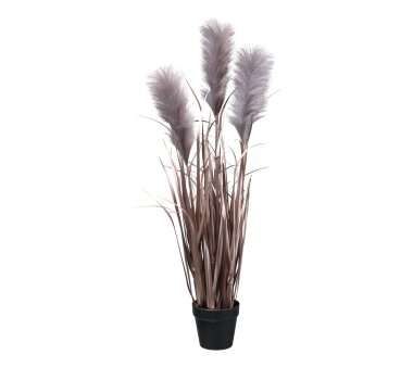 Topf, Kunstpflanze Farbe 92 Höhe kaufen inkl. ca. online schwarz, Pampasgras, cm