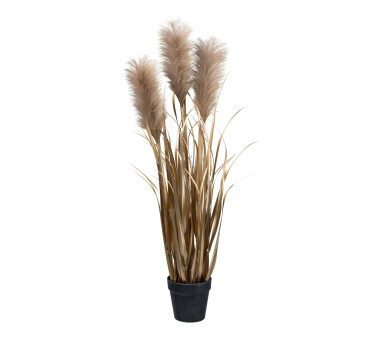 Pampasgras, 92 Farbe online Topf, kaufen Höhe Kunstpflanze inkl. ca. cm schwarz,