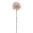 Kunstblume Allium, 4er Set, Farbe rosa, Höhe ca. 49 cm
