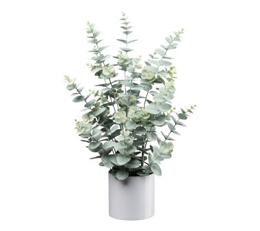 Kunstpflanze Eukalyptus, Farbe grau-grün, inkl....
