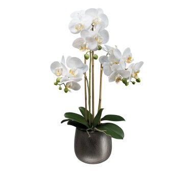 Kunstpflanze Phalaenopsis (Orchidee), Farbe weiß,...