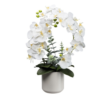 Kunstpflanze Phalaenopsis (Orchidee), Farbe weiß,...