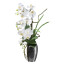 Kunstpflanze Phalaenopsis (Orchidee), Farbe weiß, inkl. Inkl. silberfarbener Vase, Höhe ca. 68 cm