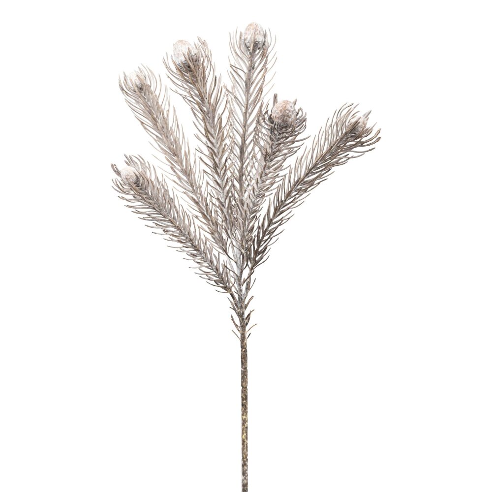 3er ca. Kunstblume Farbe online Set, cm 49 grau, Höhe Protea, kaufen