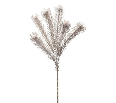 Kunstblume Protea, 3er Set, Farbe grau, Höhe ca. 49 cm