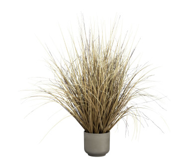 Kunstpflanze Gras, Farbe beige, inkl. Topf, Höhe ca. 55 cm online kaufen