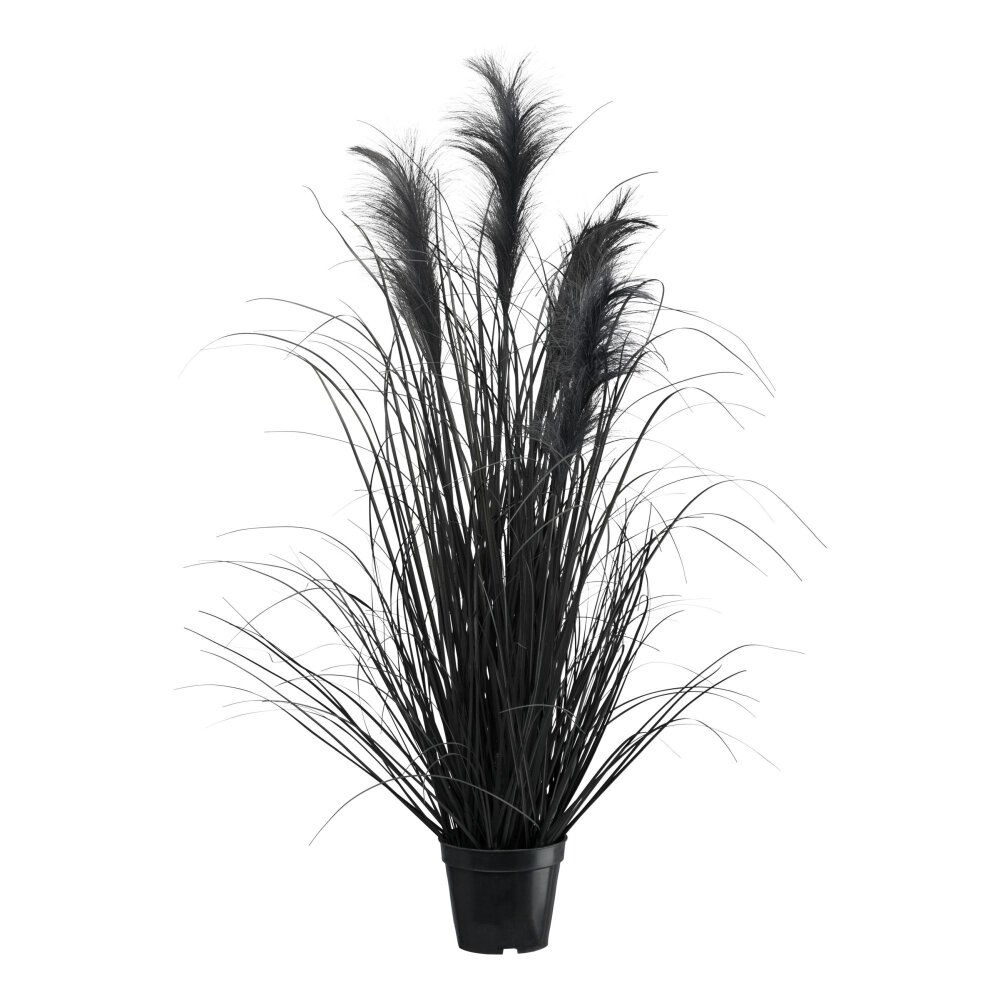 kaufen online ca. Pampasgras, Kunstpflanze cm Höhe inkl. Farbe 92 Topf, schwarz,