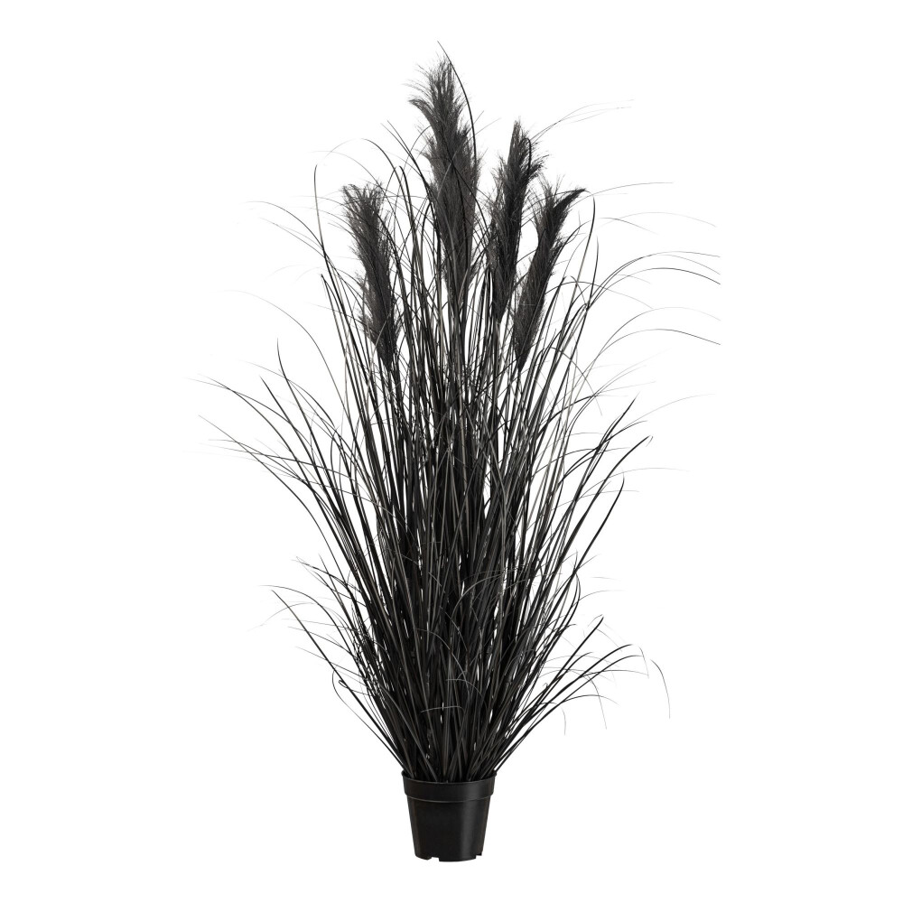 Kunstpflanze Pampasgras, Farbe schwarz, inkl. Topf, Höhe ca. 125 cm online  kaufen