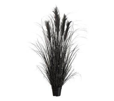 Kunstpflanze Pampasgras, Farbe schwarz, inkl. Topf,...