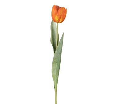 Kunstblume Tulpe offen, 6er Set, Farbe orange, Höhe...