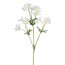 Kunstblume Scabiosa, 4er Set, Farbe weiß, Höhe ca. 66 cm