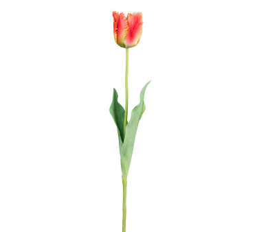 Kunstblume Tulpe rosa, 4er, 67 cm | kaufen