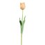 Kunstblume Tulpe, 4er Set, Farbe apricot, Höhe ca. 67 cm