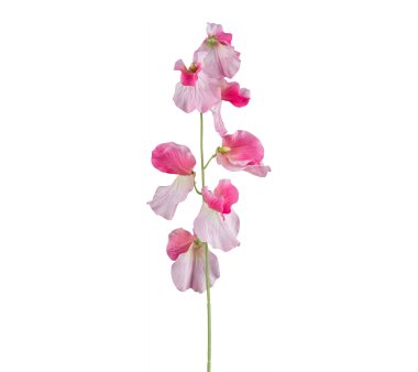 Kunstblume Wicke, 6er Set, Farbe rosa, Höhe ca. 50 cm