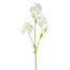 Kunstblume Iris, 2er Set, Farbe weiß, Höhe ca. 82 cm