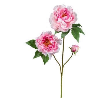 Kunstblume Peonie, 2er Set, Farbe rosa, Höhe ca. 80 cm