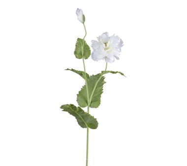 Kunstblume Gladiole, 3er Set, weiß, Höhe ca. 68 cm online kaufen