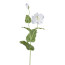 Kunstblume Mohn, 2er Set, Farbe weiß, Höhe ca. 110 cm