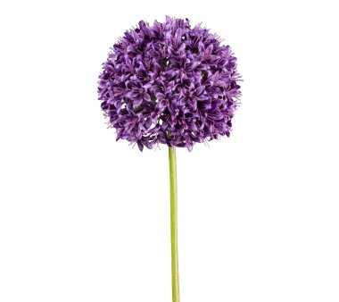 Kunstblume Allium, 2er Set, Farbe purple, Höhe ca....