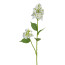 Kunstblume Wildhortensie, 4er Set, Farbe weiß, Höhe ca. 66 cm