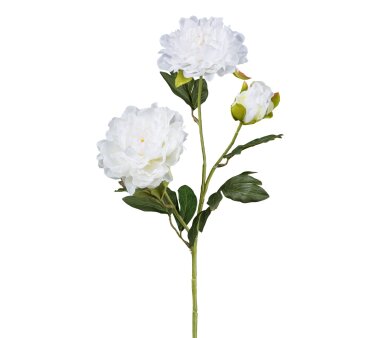 Kunstblume Gladiole, 3er ca. 68 weiß, kaufen Höhe cm Set, online