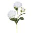 Kunstblume Peonie, 4er Set, Farbe weiß, Höhe ca. 63 cm