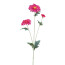 Kunstblume Gerberazweig, 4er Set, Farbe fuchsia, Höhe ca. 67 cm