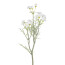 Kunstblume Margeritenzweig, 4er Set, Farbe weiß, Höhe ca. 55 cm
