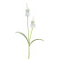 Kunstblume Lysimachia, 5er Set, Farbe weiß, Höhe ca. 63 cm
