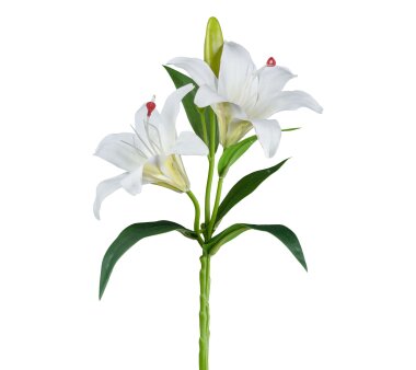 Kunstblume Lilie mit Knospen, 4er Set, Farbe weiß,...