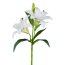 Kunstblume Lilie mit Knospen, 4er Set, Farbe weiß, Höhe ca. 39 cm