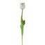 Kunstblume Wild-Tulpe, 6er Set, Farbe weiß, Höhe ca. 47 cm