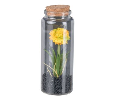 Kunstpflanze Strohblume, 4er Set, Farbe gelb, im Glas mit...