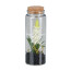 Kunstpflanze Muscari, 4er Set, Farbe weiß, im Glas mit Deckel, Höhe ca. 12,5 cm