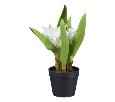 Kunstpflanze Tulpe, 4er Set, Farbe weiß, inkl....