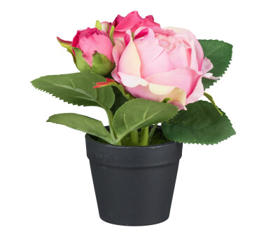 Kunstpflanze Rosen, 4er Set, Farbe dunkelrosa, inkl....