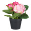 Kunstpflanze Rosen, 4er Set, Farbe dunkelrosa, inkl. Topf, Höhe ca. 14 cm