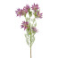 Kunstpflanze Proteazweig, 2er Set, Farbe pink, Höhe ca. 78 cm